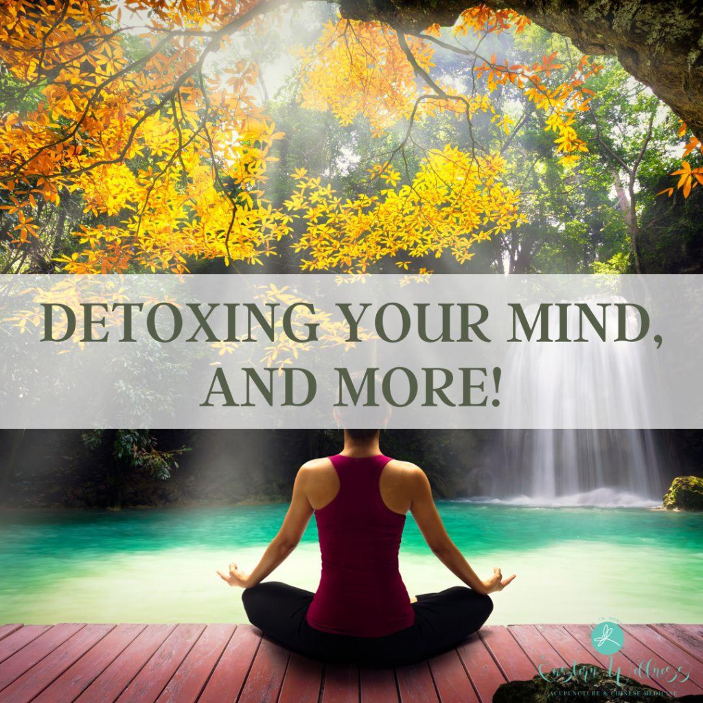 Detoxing Your Mind and More