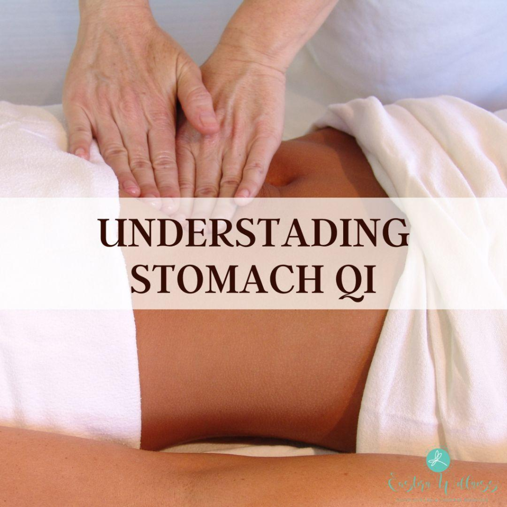 Understanding Stomach Qi
