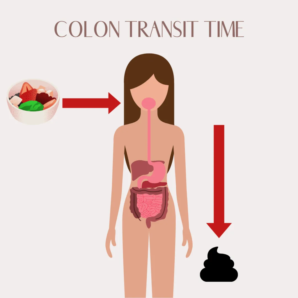 Cancer: GI Health & Detox