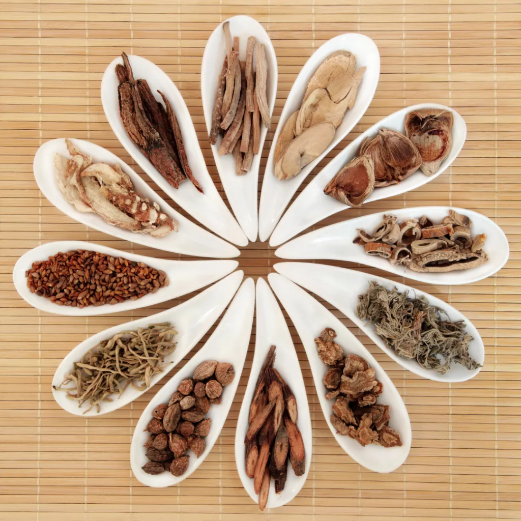 Cancer: Can you use herbs in cancer treatment?