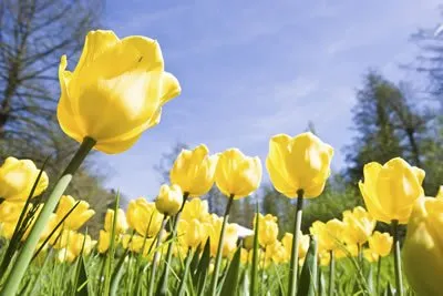 Allergy season is here! What can I do about it?