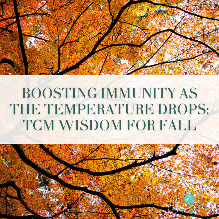 Boosting Immunity as Temperatures Drop: TCM Wisdom for Fall