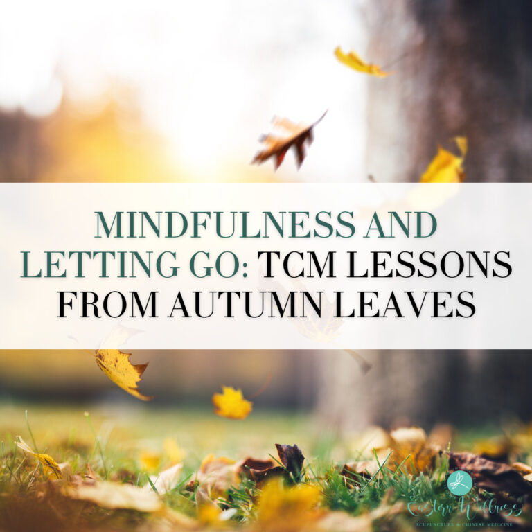 Mindfulness and Letting Go: TCM Lessons from Autumn Leaves