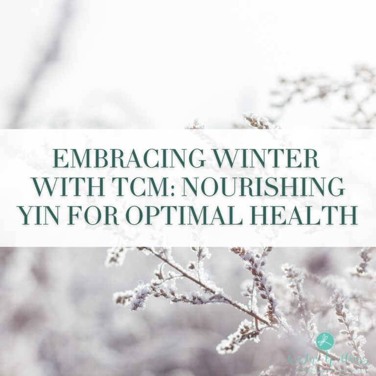 Embracing Winter with Traditional Chinese Medicine: Nourishing Yin for Optimal Health