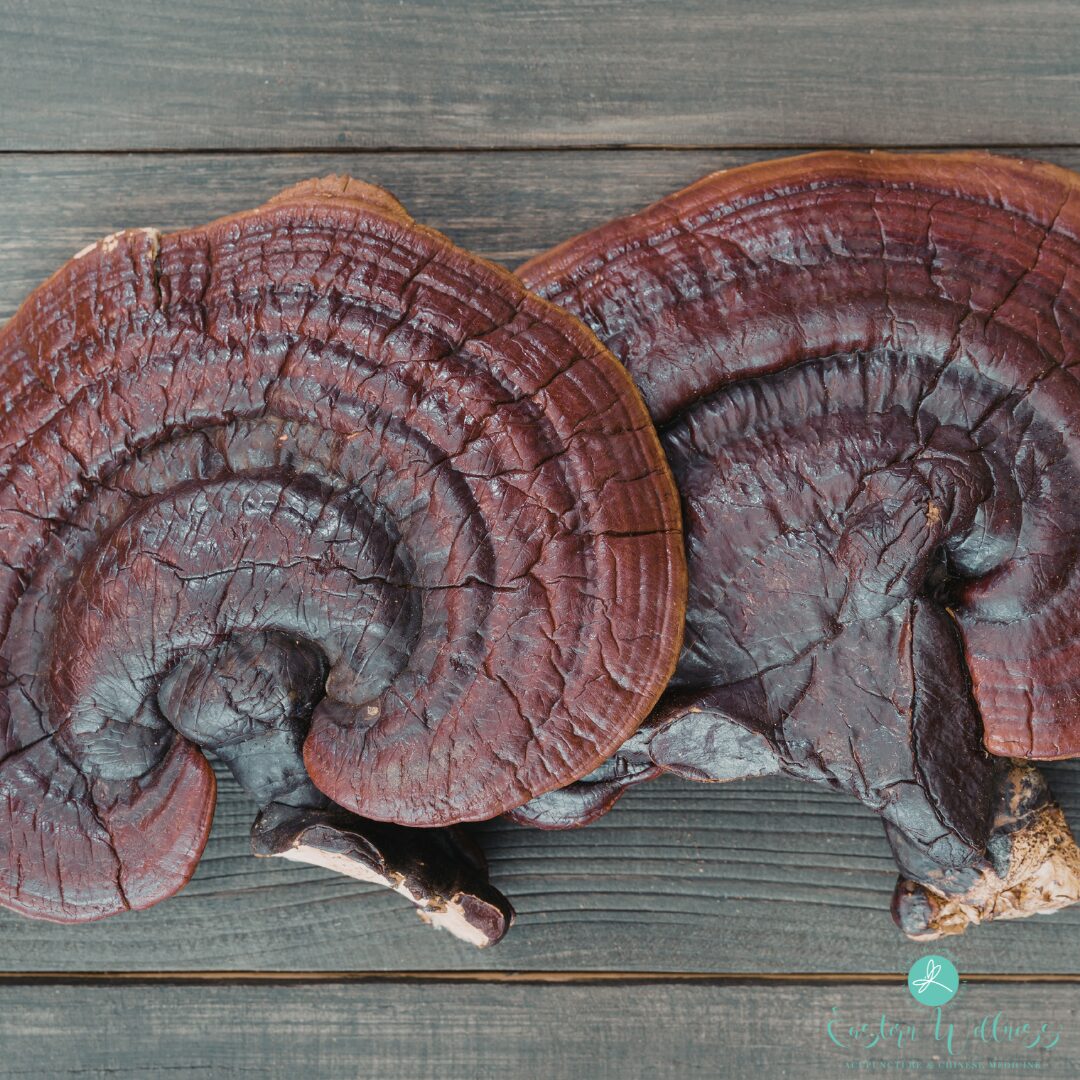 Medicinal Mushrooms and Cancer Support: Separating Myths from Facts