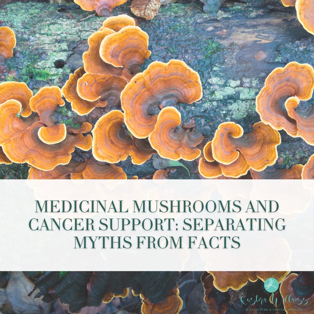 Medicinal Mushrooms and Cancer Support: Separating Myths from Facts