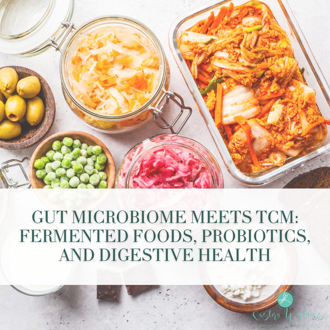 Gut Microbiome Meets TCM: Fermented Foods, Probiotics, and Digestive Health