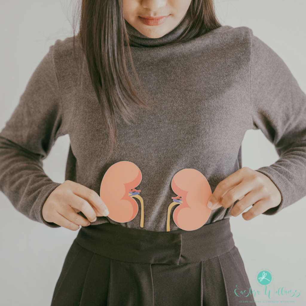The Missing Link in the Brain-Gut Connection: Your Kidneys