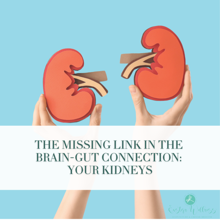 The Missing Link in the Brain-Gut Connection: Your Kidneys